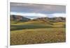 Hills and mountains, Bayandalai district, South Gobi province, Mongolia, Central Asia, Asia-Francesco Vaninetti-Framed Photographic Print