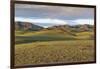 Hills and mountains, Bayandalai district, South Gobi province, Mongolia, Central Asia, Asia-Francesco Vaninetti-Framed Photographic Print