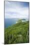 Hills and Ocean View on Virgin Gorda-Macduff Everton-Mounted Photographic Print