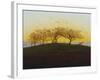 Hills and Ploughed Fields Near Dresden, about 1824-Caspar David Friedrich-Framed Giclee Print