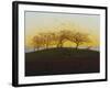 Hills and Ploughed Fields Near Dresden, about 1824-Caspar David Friedrich-Framed Giclee Print