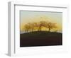 Hills and Ploughed Fields Near Dresden, about 1824-Caspar David Friedrich-Framed Giclee Print