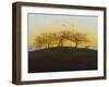 Hills and Ploughed Fields Near Dresden, about 1824-Caspar David Friedrich-Framed Giclee Print