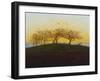 Hills and Ploughed Fields Near Dresden, about 1824-Caspar David Friedrich-Framed Giclee Print