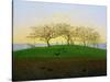 Hills and Ploughed Fields Near Dresden-Caspar David Friedrich-Stretched Canvas