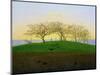 Hills and Ploughed Fields Near Dresden-Caspar David Friedrich-Mounted Giclee Print