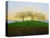 Hills and Ploughed Fields Near Dresden-Caspar David Friedrich-Stretched Canvas