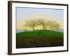 Hills and Ploughed Fields Near Dresden-Caspar David Friedrich-Framed Giclee Print