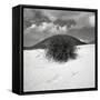 Hills Behind Cluster of Beach Grass-null-Framed Stretched Canvas