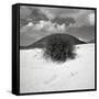 Hills Behind Cluster of Beach Grass-null-Framed Stretched Canvas