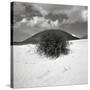 Hills Behind Cluster of Beach Grass-null-Stretched Canvas