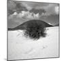 Hills Behind Cluster of Beach Grass-null-Mounted Photographic Print