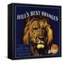 Hills Best Brand - Redlands, California - Citrus Crate Label-Lantern Press-Framed Stretched Canvas