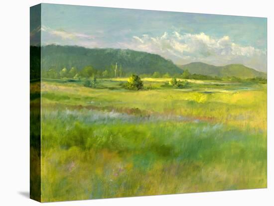 Hills Beyond the Meadow-Sheila Finch-Stretched Canvas