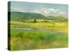 Hills Beyond the Meadow-Sheila Finch-Stretched Canvas