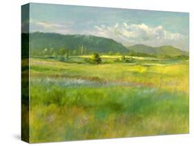 Hills Beyond the Meadow-Sheila Finch-Stretched Canvas