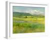 Hills Beyond the Meadow-Sheila Finch-Framed Art Print