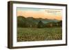 Hills, Field, Black Mountain, North Carolina-null-Framed Art Print