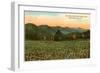 Hills, Field, Black Mountain, North Carolina-null-Framed Art Print