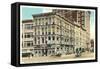 Hills, McLean & Haskins Store, Binghamton, New York-null-Framed Stretched Canvas