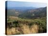 Hills Near St. Maurice-De-Ventalon, Cevennes National Park, Lozere, Languedoc-Roussillon, France-David Hughes-Stretched Canvas