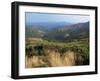 Hills Near St. Maurice-De-Ventalon, Cevennes National Park, Lozere, Languedoc-Roussillon, France-David Hughes-Framed Photographic Print