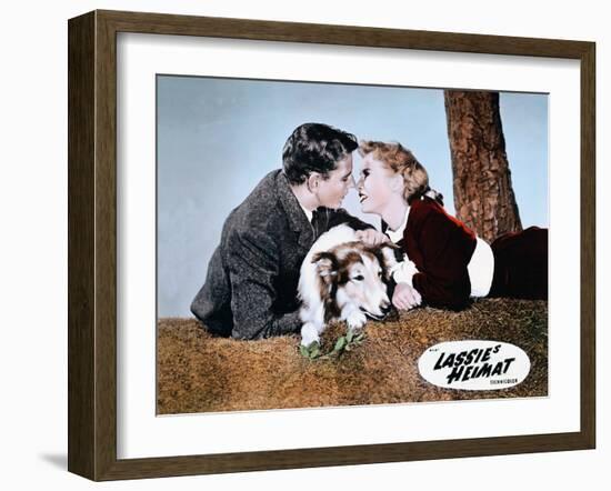 HILLS OF LASSIE, 1948 DIRECTED OF FRED M. WILCOX Tom Drake and Janet Leigh (photo)-null-Framed Photo