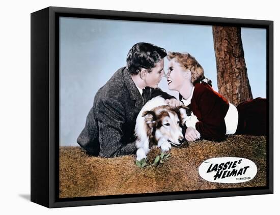 HILLS OF LASSIE, 1948 DIRECTED OF FRED M. WILCOX Tom Drake and Janet Leigh (photo)-null-Framed Stretched Canvas