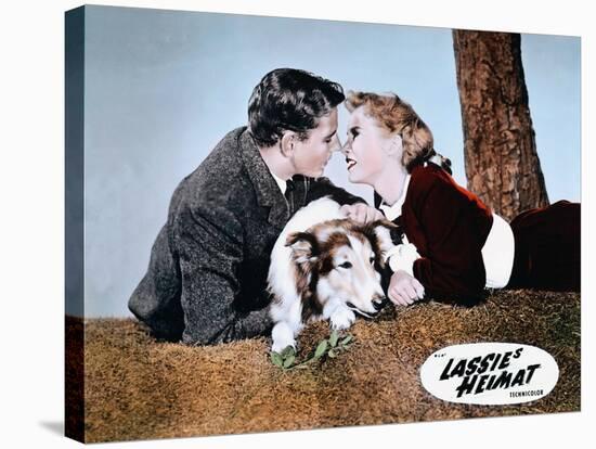 HILLS OF LASSIE, 1948 DIRECTED OF FRED M. WILCOX Tom Drake and Janet Leigh (photo)-null-Stretched Canvas
