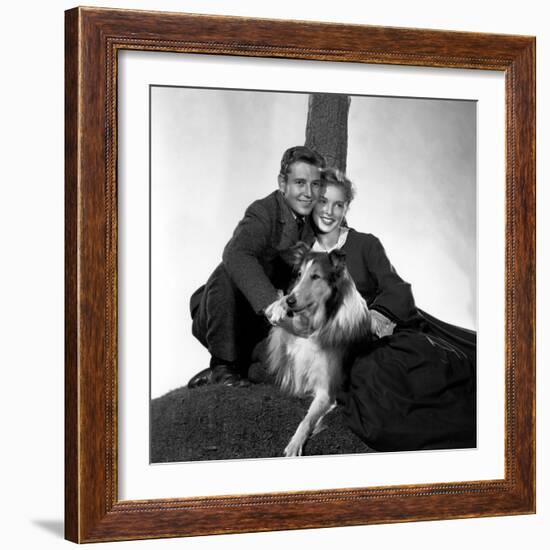 HILLS OF LASSIE, 1948 DIRECTED OF FRED M. WILCOX Tom Drake, Pal and Janet Leigh (b/w photo)-null-Framed Photo