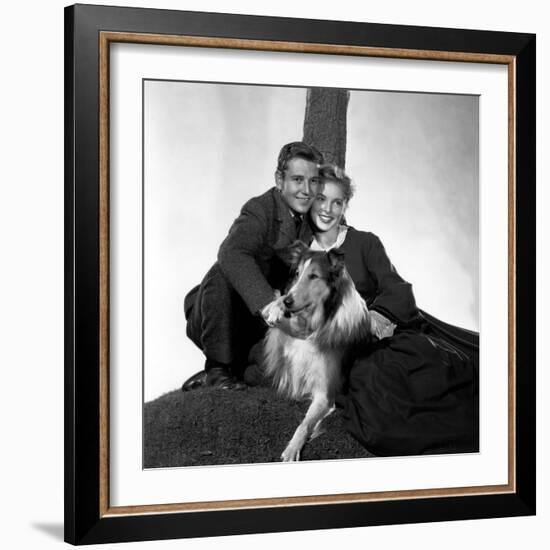 HILLS OF LASSIE, 1948 DIRECTED OF FRED M. WILCOX Tom Drake, Pal and Janet Leigh (b/w photo)-null-Framed Photo