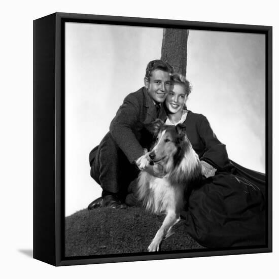 HILLS OF LASSIE, 1948 DIRECTED OF FRED M. WILCOX Tom Drake, Pal and Janet Leigh (b/w photo)-null-Framed Stretched Canvas