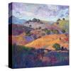 Hills of Paso-Erin Hanson-Stretched Canvas