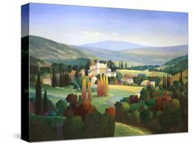 Hills of Provence-Max Hayslette-Stretched Canvas