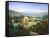 Hills of Provence-Max Hayslette-Framed Stretched Canvas