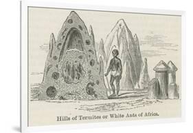 Hills of Termites or White Ants of Africa-null-Framed Giclee Print