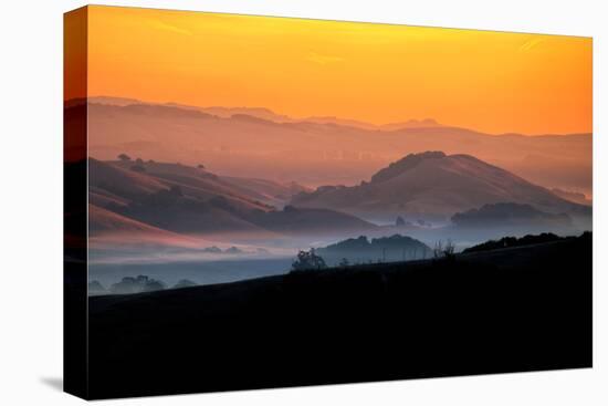 Hills of the Future, Mellow Sun and Hills, Petaluma, Sonoma County-Vincent James-Stretched Canvas