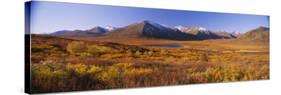 Hills on a Landscape, Yukon, Canada-null-Stretched Canvas