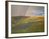 Hills with Poppies and Lupine with Double Rainbow Near Gorman, California, USA-Jim Zuckerman-Framed Photographic Print