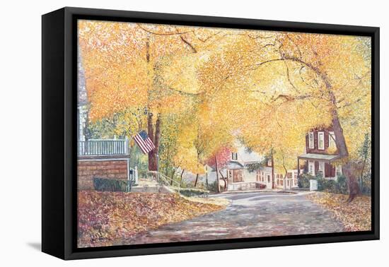 Hillside Avenue, Staten Island, 1992-Anthony Butera-Framed Stretched Canvas