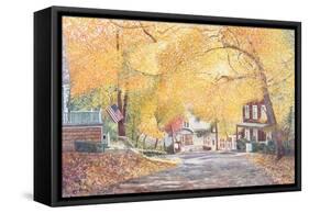 Hillside Avenue, Staten Island, 1992-Anthony Butera-Framed Stretched Canvas