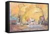 Hillside Avenue, Staten Island, 1992-Anthony Butera-Framed Stretched Canvas