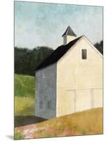 Hillside Barn-Suzanne Nicoll-Mounted Art Print