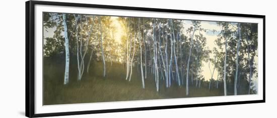 Hillside Birches-Elissa Gore-Framed Art Print