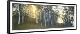 Hillside Birches-Elissa Gore-Framed Art Print