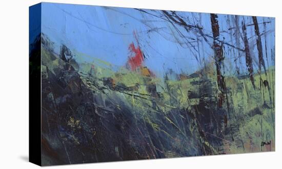 Hillside Clearing-Paul Bailey-Stretched Canvas