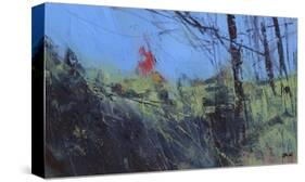 Hillside Clearing-Paul Bailey-Stretched Canvas