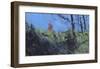 Hillside Clearing-Paul Bailey-Framed Premium Giclee Print