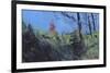 Hillside Clearing-Paul Bailey-Framed Art Print