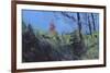 Hillside Clearing-Paul Bailey-Framed Art Print